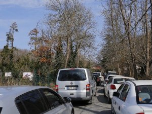Güneşli havayı gören vatandaşlar kısıtlamanın ikinci haftasında Belgrad Ormanına akın etti
