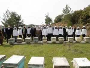 İzmir’de 100 Roman kadına, 1000 arı kovanı teslim edildi