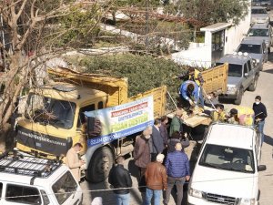 Büyükşehir’den binlerce zeytin ve incir ağacı desteği