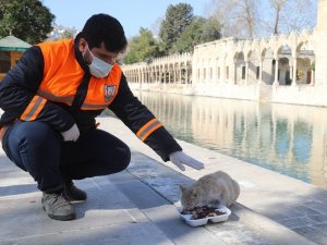 Büyükşehir, Covid-19 salgının ilk dakikalarından itibaren sahada