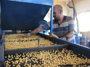 Denizli’de leblebi ve kuruyemişçiler için yeni karar