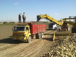 Altıntaş’ta hedef 200 bin ton pancar üretimi