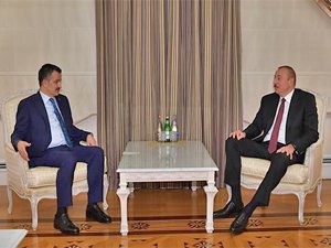 Bakan Pakdemirli, Azerbaycan Cumhurbaşkanı Aliyev ile görüştü