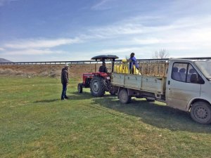 36 yerleşimde 50 bin dekar mera ıslah edildi