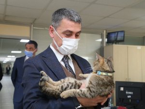 Leo, Gölbaşı Belediyesi’nin Maskotu oldu