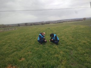 Ekili alanlara kontrol