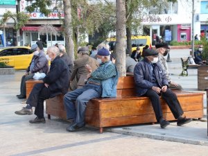Aydın’ın yüzde 13’ü yaşlı