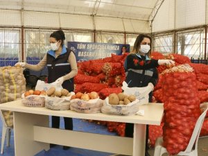Aydın Büyükşehir Belediyesi’nden patates ve soğan üreticisine destek