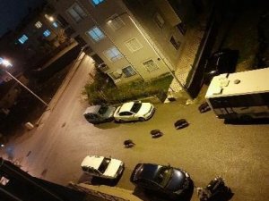 İzmir’de aç kalan domuz sürüsü şehre indi