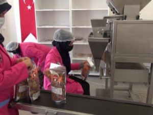 10 kadının kurduğu kooperatif 25 hemcinslerine ekmek kapısı oldu