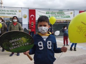Orman Haftası Muğla’da etkinliklerle kutlandı