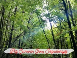 Öğrenciler, kağıt tüketimindeki artışa röportajlarla dikkat çektiler