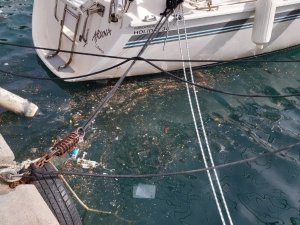 Datça’da deniz yüzeyindeki kirlilik göze çarpıyor