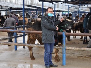 Simav’da canlı hayvan pazarı tekrar açıldı
