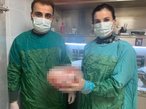 Karın ağrısı şikayeti ile hastaneye gitti, karnından 5 kiloluk kitle çıktı