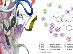 BEÜ’den  Covid-19 tedavisine umut ışığı