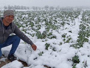 Ödemiş Ovası’na kar yağdı, bakla ve bezelye üreticileri tedirgin