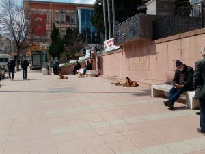 Vatandaştan ilginç korona virüs yorumu: “Boş ver vakayı, herkes kendi önlemini alacak, kalan sağlar bizim”