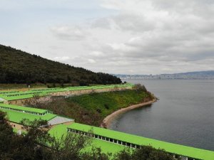 İBB Adalar’da 100’e yakın atı ahıra hapsetti