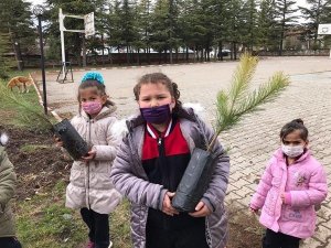 Okul bahçesi ağaçlandırıldı