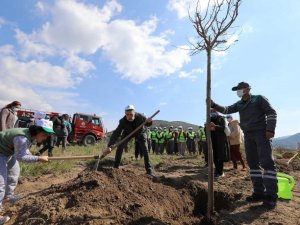 Bakan Pakdemirli, dut ormanı isteyen otizmli çocukları kırmadı