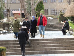 Kar yağışı sonrası güneşli havayı gören kendini sokağa attı