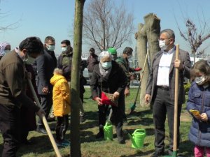 Üsküdar’da Kız Kulesinde katledilen ağaçların yerine yenileri dikildi