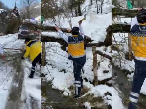 Vakaya giden 112 ekibinin yola devrilen ağaçla mücadelesi