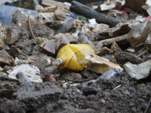 Plastiklerin yasaklanması için başvuruda bulundular