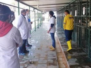 Hayvan Bakım Evleri denetlendi