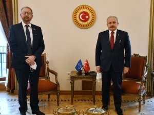 TBMM Başkanı Şentop: "FETÖ Avrupa için de bir tehdittir”
