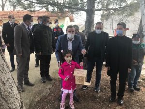 Sevdiğin köyünde kuş evleri