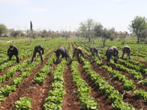 Sınır kentinde korona tedbirleri arttırılıyor