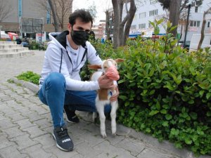 İzmir’in maskotu maskeli keçi