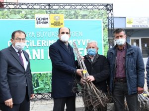 Başkan Altay, Hadimli çiftçilere sertifikalı ceviz fidanı dağıttı