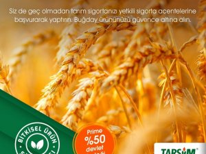 TARSİM: “Buğday ürününüz güvende”