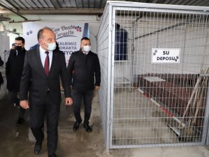 Başkan Akın: "Kapımızın önüne bir kap yemek ve su koymayı unutmayalım"