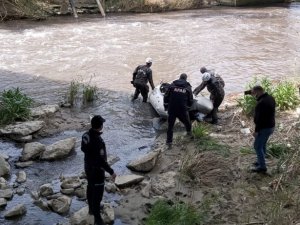 Menderes Nehri’nde kaybolan yaşlı adamı arama çalışmaları sürüyor