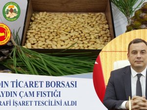 Aydın Çam Fıstığı, Coğrafi İşaret Tescilini aldı