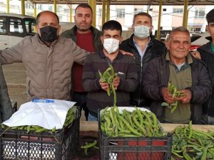 Geçen yıl pandeminin vurduğu baklayı bu yıl don vurdu