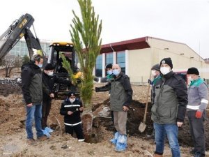 Orman Bölge Müdürlüğünde çevre düzenlemesi