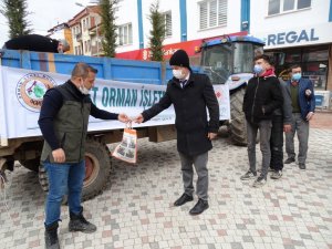 Hisarcık’ta vatandaşlara ücretsiz fidan dağıtıldı