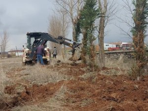 Mezarlıkta ağaçlandırma ve bakım çalışmaları