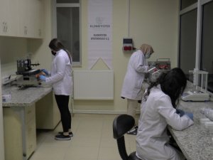 Buzağı ishali teşhisinde kullanılacak ‘Erken Tanı Kiti’nin seri üretimi başlıyor