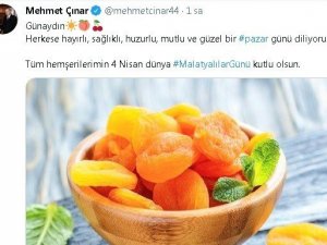 Malatyalılar günü kutlamaları sanalda