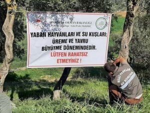 Üreme döneminde olan yaban hayvanları ve kuşlar için vatandaşları uyardılar
