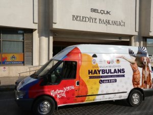 Selçuk Belediyesi pandemide sokak hayvanları yalnız bırakmadı