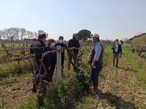 TARSİM’den Bursa ve Manisa’ya ziyaretler