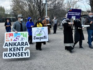 Başkentli hayvanseverler sokak hayvanları için bir araya geldi