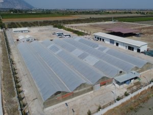 Büyükşehir, 250 bin metrekare peyzaj çalışması yapacak